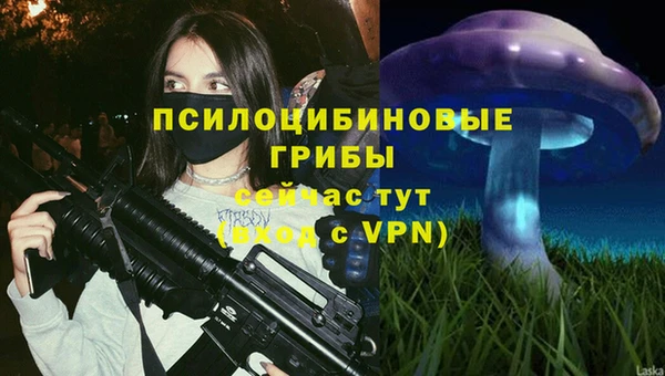 мяу мяу мука Арсеньев