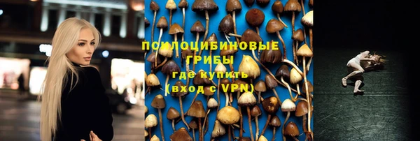 ALPHA PVP Аркадак